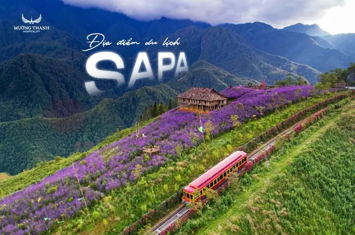 Các Địa Điểm Du Lịch Ở Sa Pa Mà Bạn Không Nên Bỏ Lỡ Các Địa Điểm Du Lịch Ở Sa Pa Mà Bạn Không Nên Bỏ Lỡ