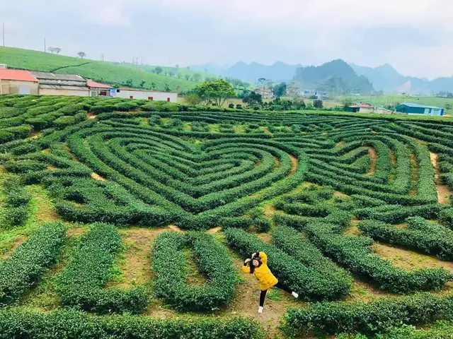 Khám Phá 17 Địa Điểm Du Lịch Mộc Châu Cho Du Khách Yêu Thiên Nhiên Khám Phá 17 Địa Điểm Du Lịch Mộc Châu Cho Du Khách Yêu Thiên Nhiên