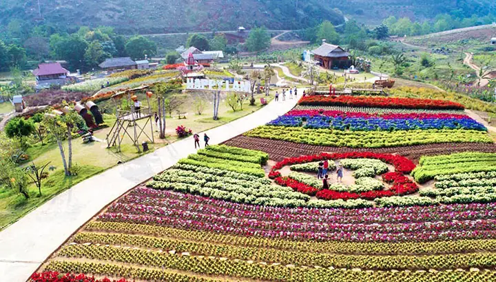 Khám Phá 17 Địa Điểm Du Lịch Mộc Châu Cho Du Khách Yêu Thiên Nhiên Khám Phá 17 Địa Điểm Du Lịch Mộc Châu Cho Du Khách Yêu Thiên Nhiên