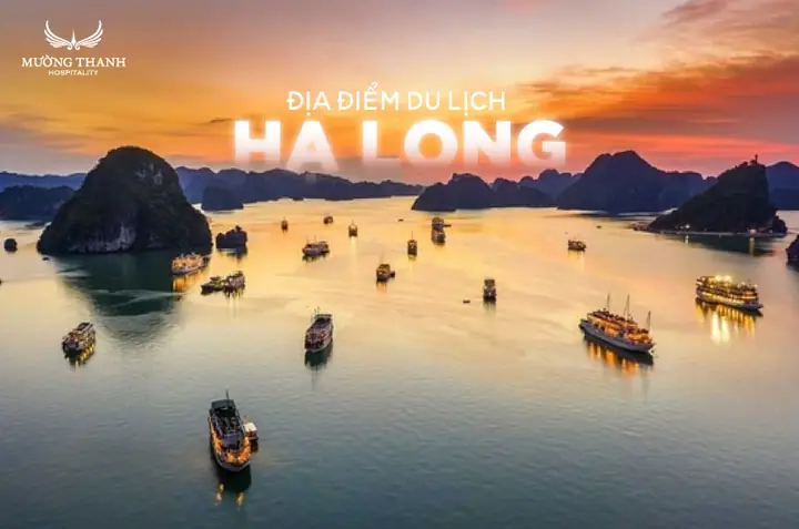 Khám Phá 15 Địa Điểm Du Lịch Hạ Long Hấp Dẫn Cho Mọi Du Khách