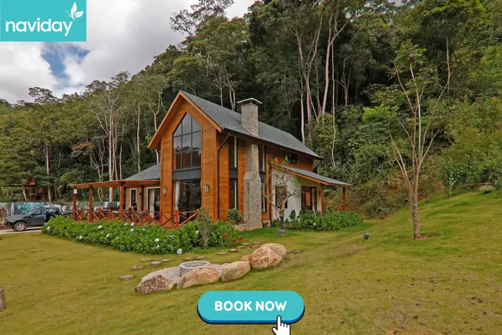 Khám Phá 12 Homestay Đà Lạt Chill Cho Trải Nghiệm Chậm