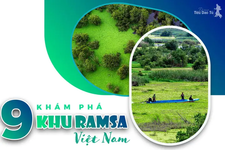 Tổng Hợp 9 Khu Ramsar Ở Việt Nam: Địa Điểm, Giá Trị Và Lưu Ý Khám Phá