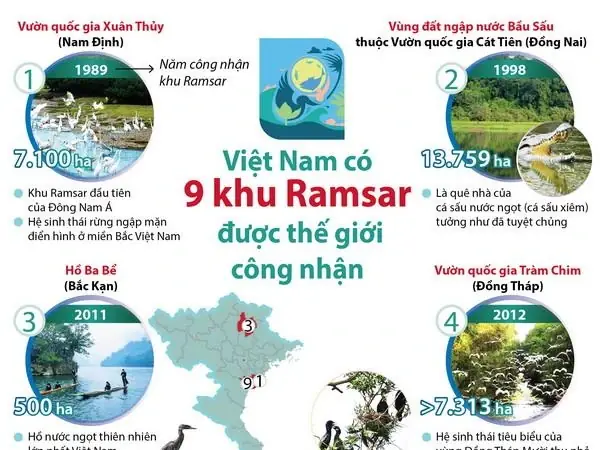 Tổng Hợp 9 Khu Ramsar Ở Việt Nam: Địa Điểm, Giá Trị Và Lưu Ý Khám Phá