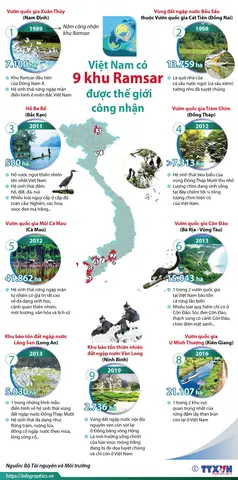 Tổng Hợp 9 Khu Ramsar Ở Việt Nam: Địa Điểm, Giá Trị Và Lưu Ý Khám Phá
