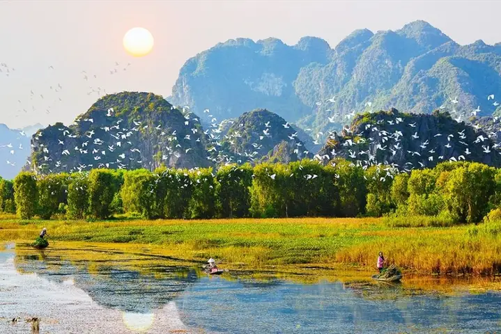 Tổng Hợp 9 Khu Ramsar Ở Việt Nam: Địa Điểm, Giá Trị Và Lưu Ý Khám Phá