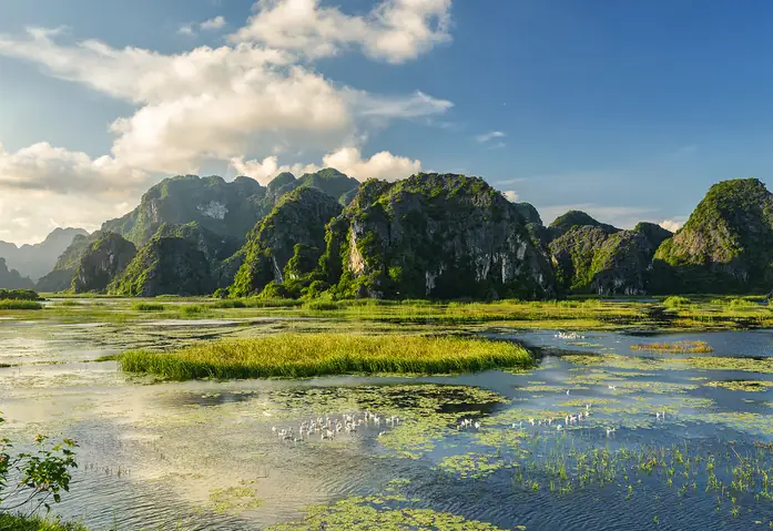 Tổng Hợp 9 Khu Ramsar Ở Việt Nam: Địa Điểm, Giá Trị Và Lưu Ý Khám Phá