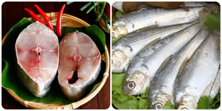 Các Loại Cá Biển Hấp Ngon – Hướng Dẫn Chọn Và Chế Biến Cho Bữa Ăn Gia Đình