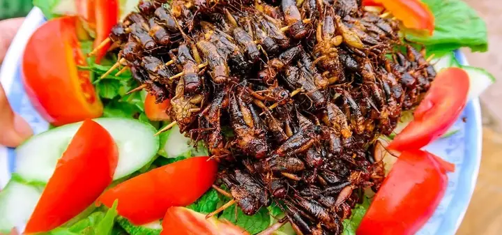 Cẩm Nang Đặc Sản Tây Bắc Toàn Tập: Từ Gác Bếp Đến Những Món Ăn Vùng Cao