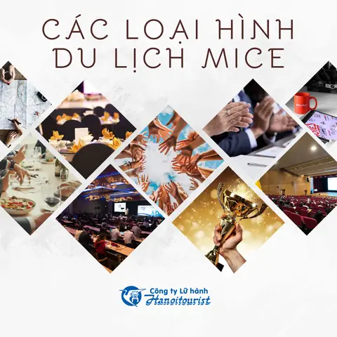 Các Loại Hình Du Lịch Mice Là Gì? Tổng Hợp Chi Tiết