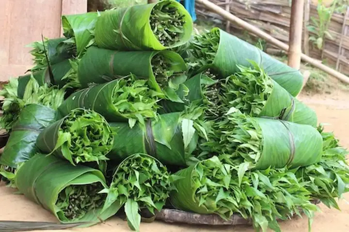 Các Loại Lá Rừng Ăn Được: Danh Sách Đầy Đủ Và Hướng Dẫn Chi Tiết Các Loại Lá Rừng Ăn Được: Danh Sách Đầy Đủ Và Hướng Dẫn Chi Tiết