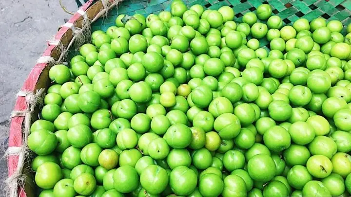 Các Loại Mận Ở Miền Bắc: Danh Mục Đầy Đủ Và Đặc Trưng