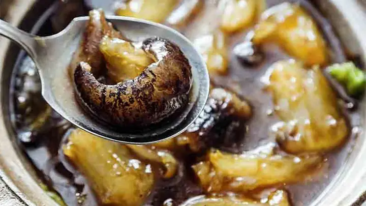 Cẩm Nang Thưởng Thức Các Món Ngon Từ Hải Sâm Phú Quốc