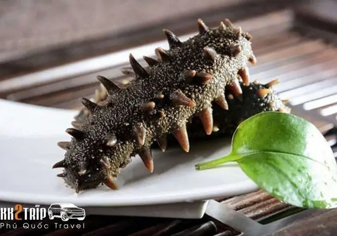 Cẩm Nang Thưởng Thức Các Món Ngon Từ Hải Sâm Phú Quốc