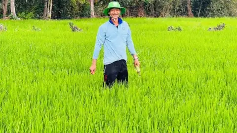 Cách Chế Biến Bọ Xít Nhãn Thơm Ngon, Dinh Dưỡng Từ Đặc Sản Vùng Nhãn