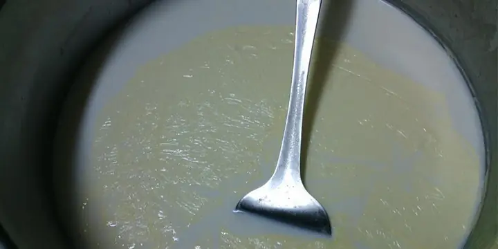 Cách Chế Biến Sữa Bò Non Đa Dạng Và An Toàn Tại Nhà Cách Chế Biến Sữa Bò Non Đa Dạng Và An Toàn Tại Nhà