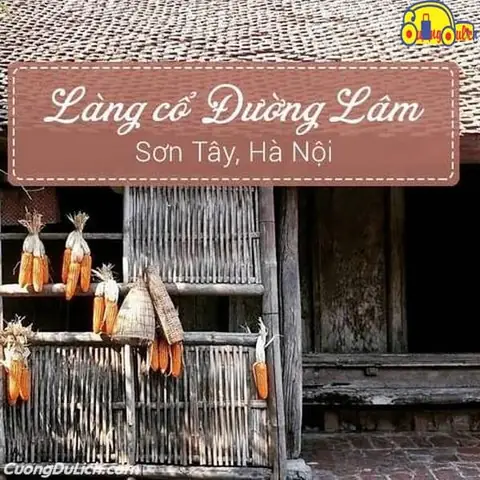 Cách Đi Làng Cổ Đường Lâm Từ Hà Nội: Đầy Đủ Chi Tiết Và Lưu Ý 2026