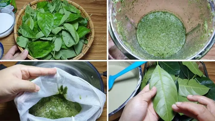 Cẩm Nang Làm Bánh Lá Mít Rau Mơ Chuẩn Vị Miền Tây