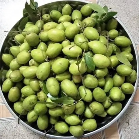 Cách Làm Cá Nướng Ngâm Đường Chuẩn Vị: Hướng Dẫn Từ A Đến Z