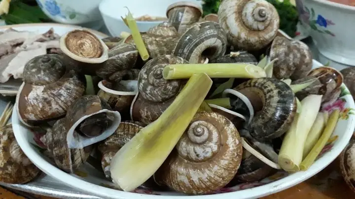 Cách Luộc Ốc Núi Thơm Ngon, Không Nhớt Hiệu Quả