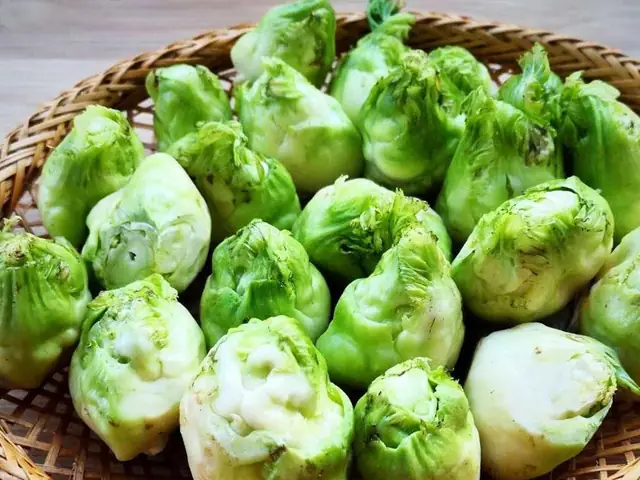 Cách Làm Rau Mầm Đá Luộc Đơn Giản Tại Nhà