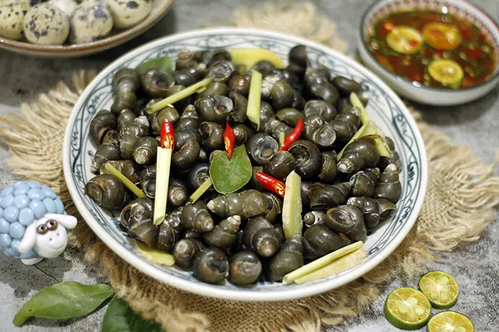 Cách Luộc Ốc Ngon Như Quán: Tổng Hợp Bí Quyết Từ Chuyên Gia Cách Luộc Ốc Ngon Như Quán: Tổng Hợp Bí Quyết Từ Chuyên Gia