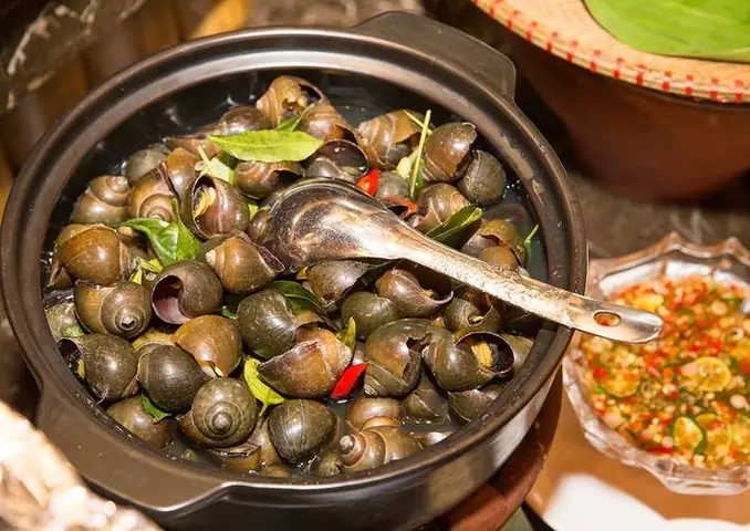 Cách Luộc Ốc Ngon Như Quán: Tổng Hợp Bí Quyết Từ Chuyên Gia Cách Luộc Ốc Ngon Như Quán: Tổng Hợp Bí Quyết Từ Chuyên Gia