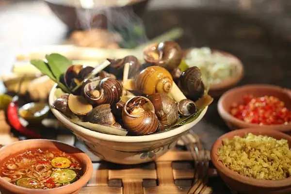Cách Luộc Ốc Ngon Như Quán: Tổng Hợp Bí Quyết Từ Chuyên Gia Cách Luộc Ốc Ngon Như Quán: Tổng Hợp Bí Quyết Từ Chuyên Gia