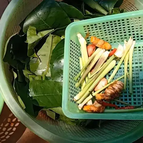 Hướng Dẫn Cách Nấu Canh Đắng Lòng Bò Chuẩn Vị, Không Tanh