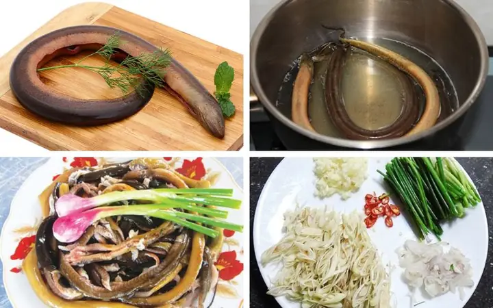 Hướng Dẫn Cách Nấu Cháo Lươn Thơm Ngon, Bổ Dưỡng Cho Mọi Lứa Tuổi Hướng Dẫn Cách Nấu Cháo Lươn Thơm Ngon, Bổ Dưỡng Cho Mọi Lứa Tuổi