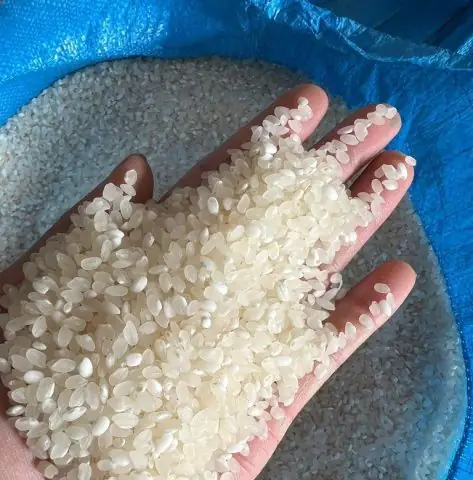 Cẩm Nang Du Lịch Ẩm Thực: Bí Quyết Nấu Xôi Gạo Nếp Tú Lệ Chuẩn Vị Tây Bắc