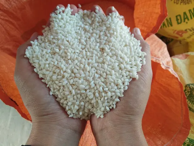 Cẩm Nang Du Lịch Ẩm Thực: Bí Quyết Nấu Xôi Gạo Nếp Tú Lệ Chuẩn Vị Tây Bắc