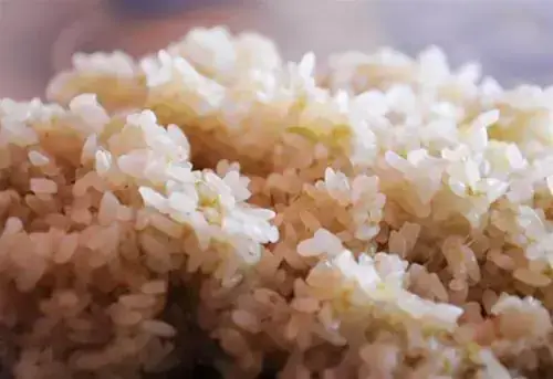 Cẩm Nang Du Lịch Ẩm Thực: Bí Quyết Nấu Xôi Gạo Nếp Tú Lệ Chuẩn Vị Tây Bắc
