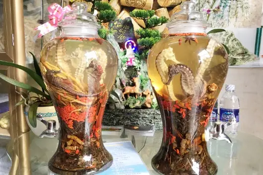 Cách Ngâm Rượu Cá Ngựa Sống Đơn Giản Tại Nhà: Hướng Dẫn Chi Tiết