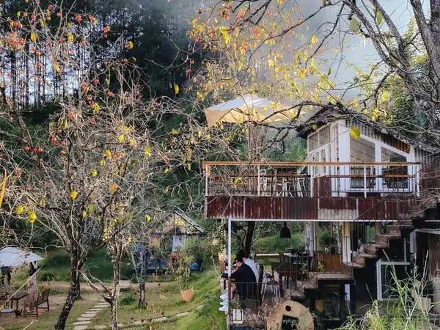 Cafe Đợi Một Người Đà Lạt: 7 Quán View Đẹp, Không Gian Yên Tĩnh Lý Tưởng Để Chờ Đợi Cafe Đợi Một Người Đà Lạt: 7 Quán View Đẹp, Không Gian Yên Tĩnh Lý Tưởng Để Chờ Đợi