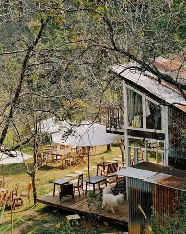 Cafe Đợi Một Người Đà Lạt: 7 Quán View Đẹp, Không Gian Yên Tĩnh Lý Tưởng Để Chờ Đợi