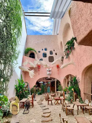 Ola Cafe Nha Trang: Đánh Giá Chi Tiết & Trải Nghiệm Thực Tế Từ Một Du Khách