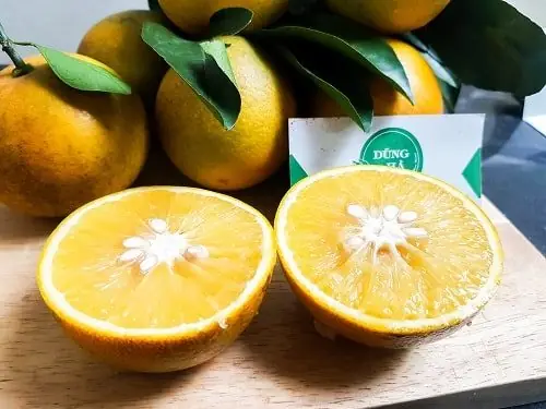 Cam Cao Phong Hòa Bình: Cập Nhật Giá Thị Trường 2026 & Top 4 Kênh Mua Uy Tín Cam Cao Phong Hòa Bình: Cập Nhật Giá Thị Trường 2026 & Top 4 Kênh Mua Uy Tín