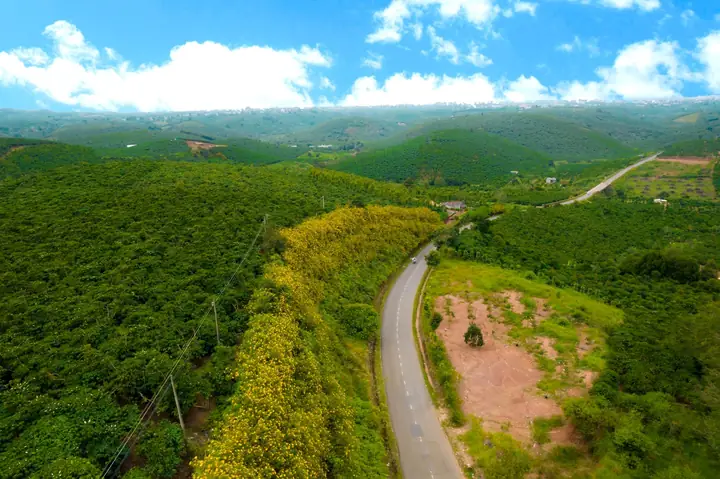 Cẩm Nang Du Lịch Lâm Đồng 2026: Hướng Dẫn Khám Phá Đà Lạt Và Vùng Cao Nguyên