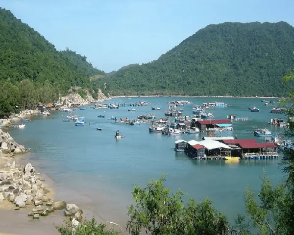 Cảng Vũng Rô Thuộc Tỉnh Nào? Tổng Hợp Từ Vị Trí Đến Trải Nghiệm Cảng Vũng Rô Thuộc Tỉnh Nào? Tổng Hợp Từ Vị Trí Đến Trải Nghiệm