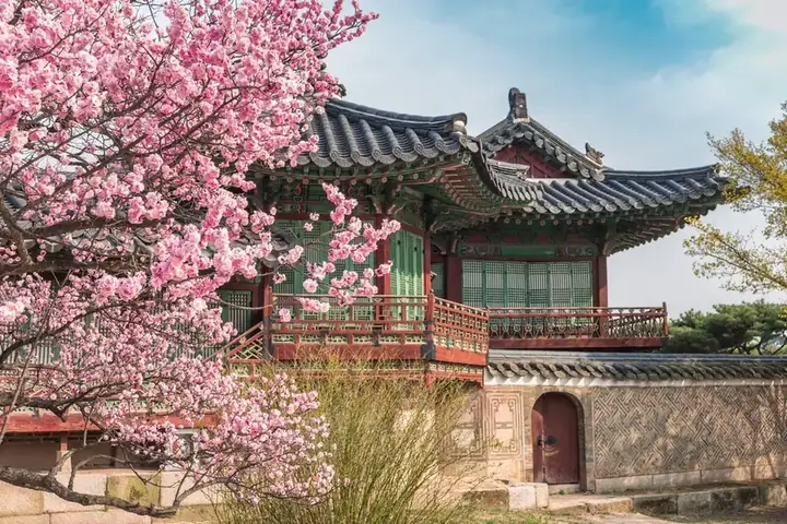 Khám Phá 12 Điểm Du Lịch Hàn Quốc Mùa Xuân Cho Du Khách