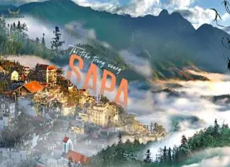 Cẩm Nang Cảnh Đẹp Miền Bắc Việt Nam: Khám Phá Top Điểm Đến Đáng Thử Nhất Cẩm Nang Cảnh Đẹp Miền Bắc Việt Nam: Khám Phá Top Điểm Đến Đáng Thử Nhất
