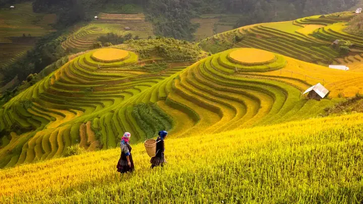Khám Phá Vẻ Đẹp Thiên Nhiên Việt Nam: Tổng Hợp Từ Đồng Bằng Đến Biển Đảo