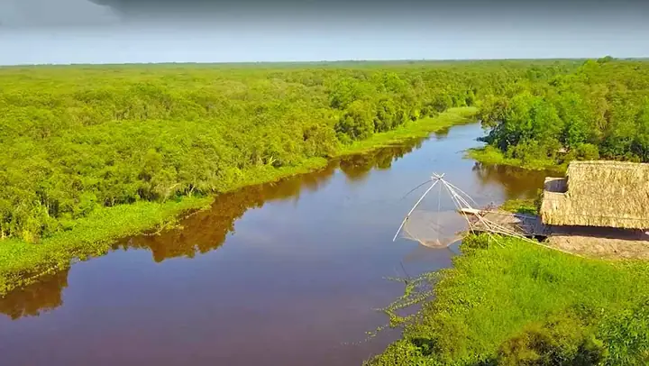 Cánh Đồng Bất Tận Long An: Hướng Dẫn Chi Tiết Khám Phá Thiên Nhiên Và Trải Nghiệm Du Lịch