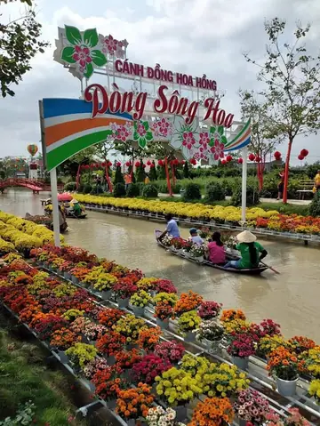 Khám Phá Khu Du Lịch Cánh Đồng Hoa Hồng Sa Đéc