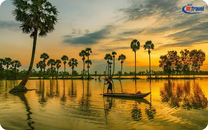 Cánh Đồng Thốt Nốt An Giang: Hành Trình Khám Phá Vùng Sông Nước