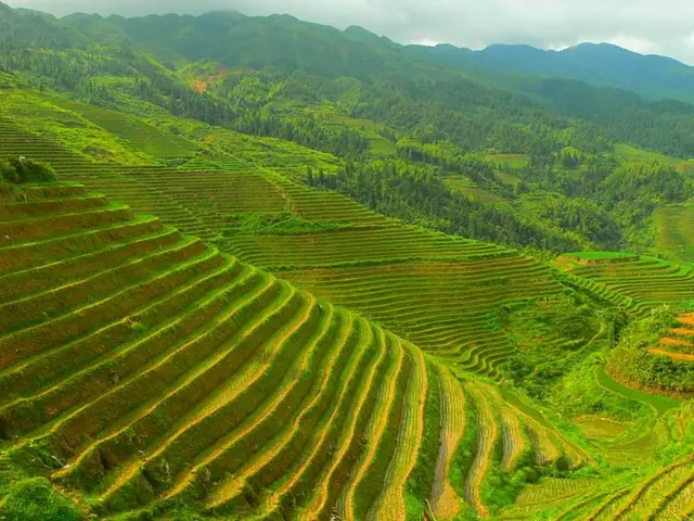 Khám Phá Cảnh Quan Thiên Nhiên: Định Nghĩa, Đặc Điểm Và Ý Nghĩa