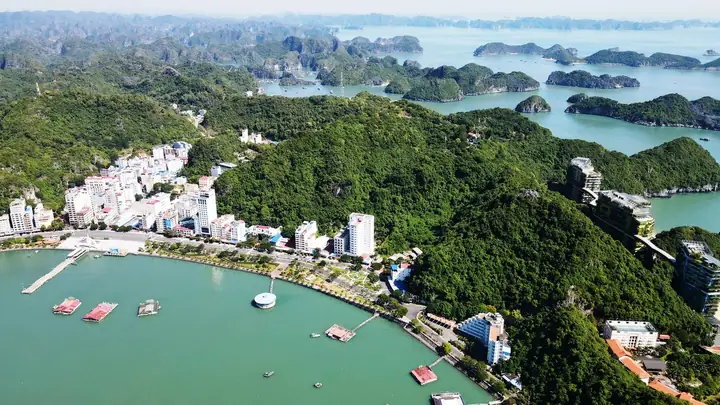 Hướng Dẫn Du Lịch Cát Bà Tự Túc: Lịch Trình, Di Chuyển, Ăn Ở Hướng Dẫn Du Lịch Cát Bà Tự Túc: Lịch Trình, Di Chuyển, Ăn Ở