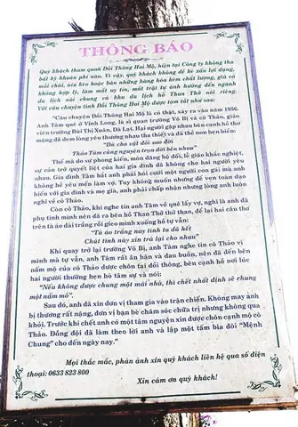 Khám Phá Sự Tích Đồi Thông Hai Mộ – Câu Chuyện Tình Bi Thương