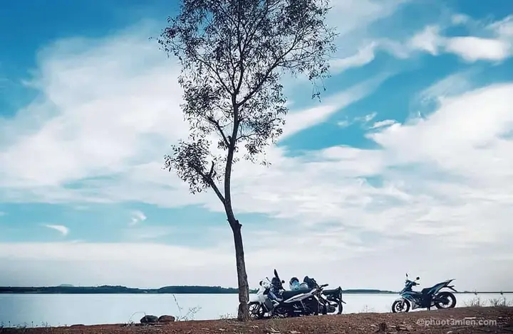 Cây Cô Đơn Hồ Trị An: Điểm Nhấn Thiên Nhiên Đáng Khám Phá Cây Cô Đơn Hồ Trị An: Điểm Nhấn Thiên Nhiên Đáng Khám Phá