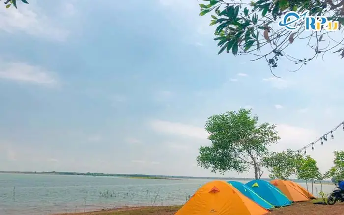 Cây Cô Đơn Hồ Trị An: Điểm Nhấn Thiên Nhiên Đáng Khám Phá Cây Cô Đơn Hồ Trị An: Điểm Nhấn Thiên Nhiên Đáng Khám Phá